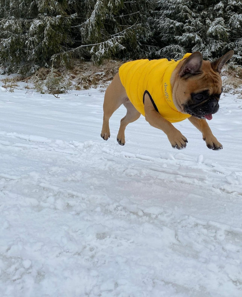 Doogy Haina Reversibila Lighty Galben/Maro pentru caini