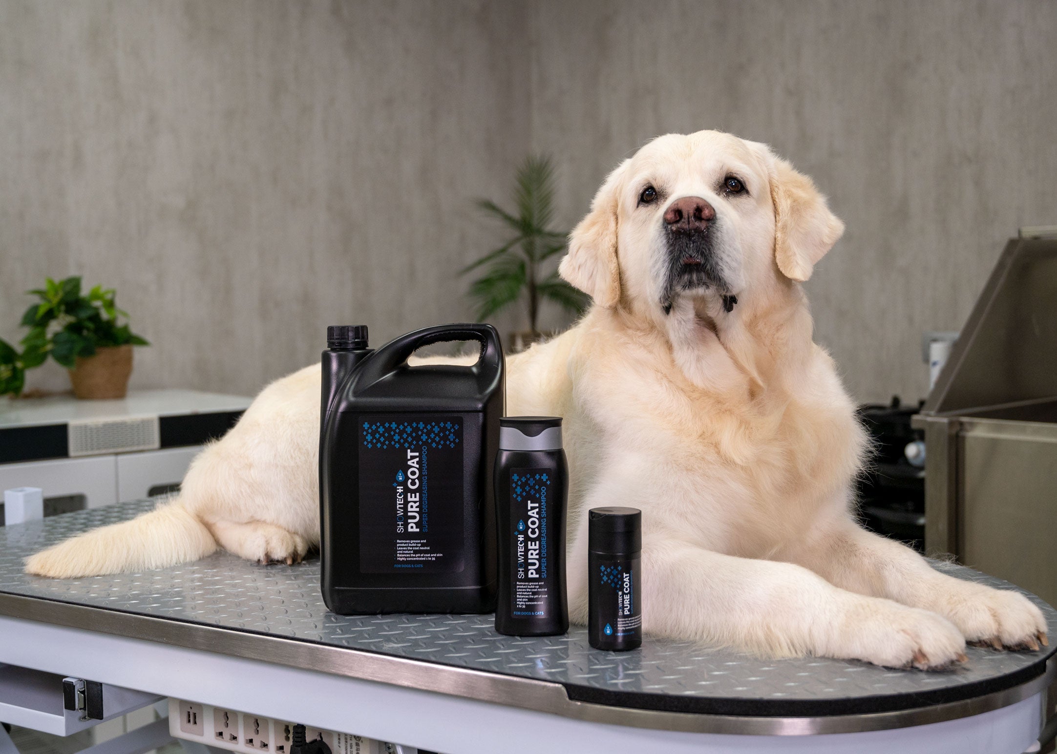 Show Tech+ Pure Coat Sampon Degresant 300ml 1/35 pentru caini si pisici