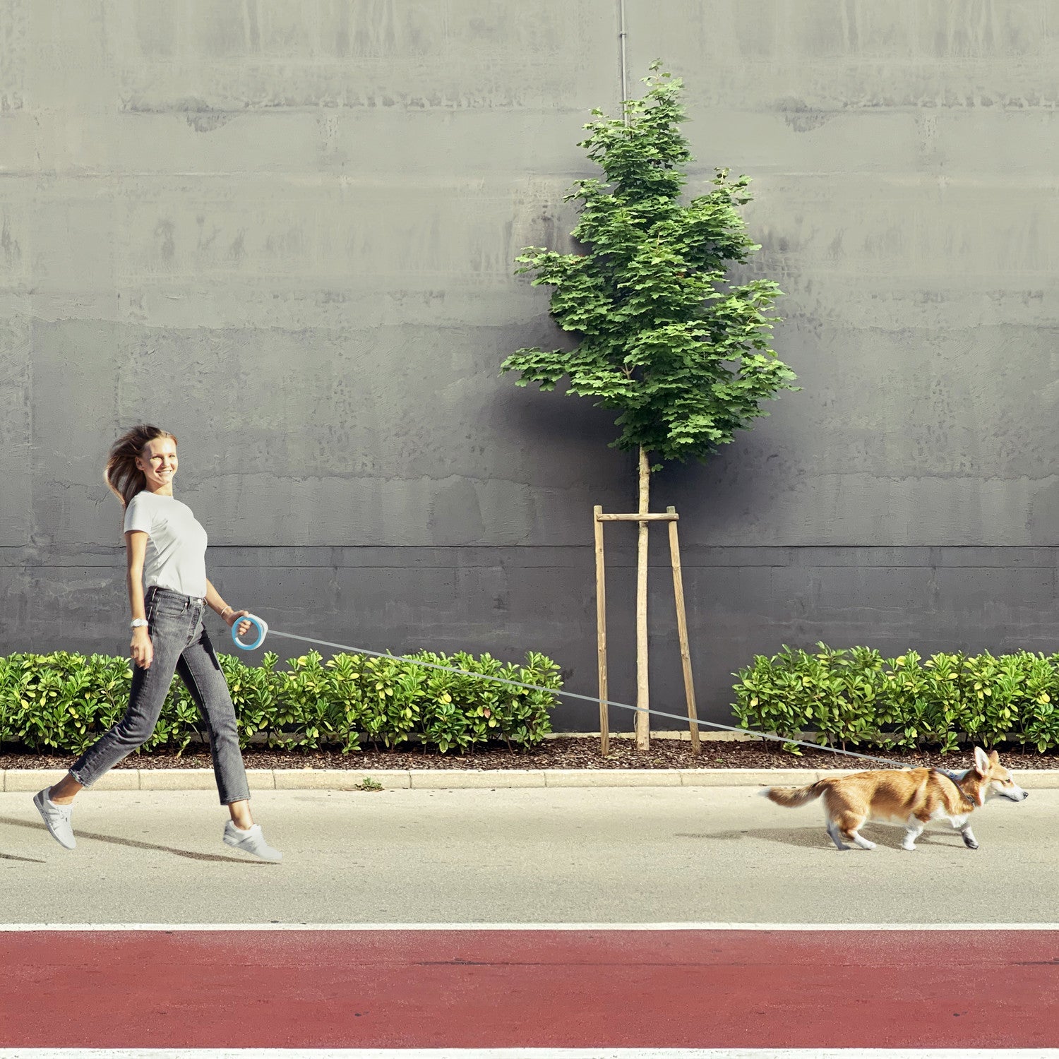 Lesa Retractabila pentru caini WAUDOG R-leash Alb- 2.9m