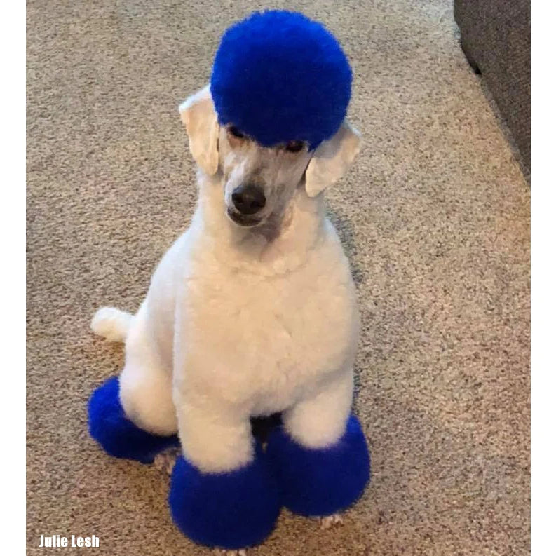 Opawz Albastru Cobalt- vopsea permanenta pentru caini si cai 8oz. / 234g