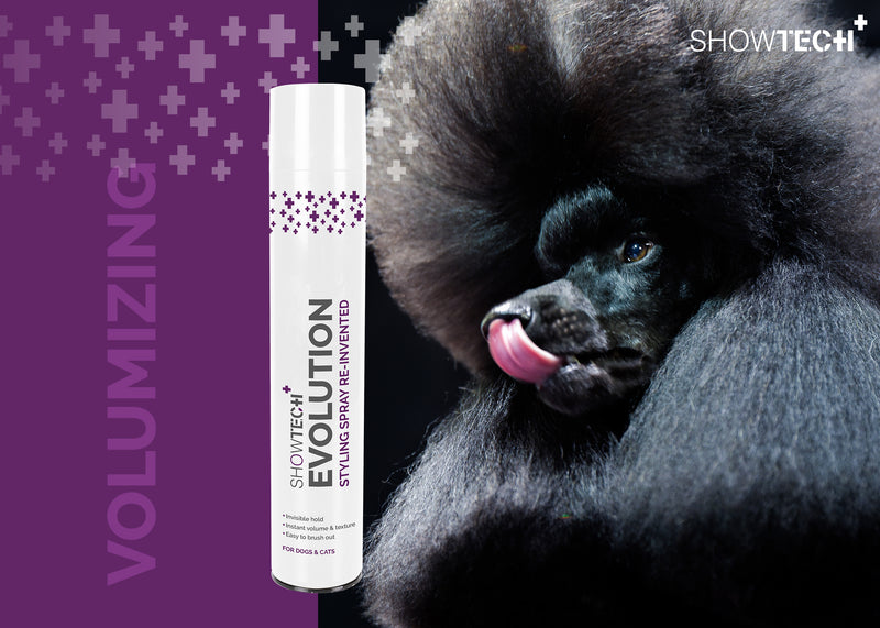 Show Tech+ Evolution Styling Spray