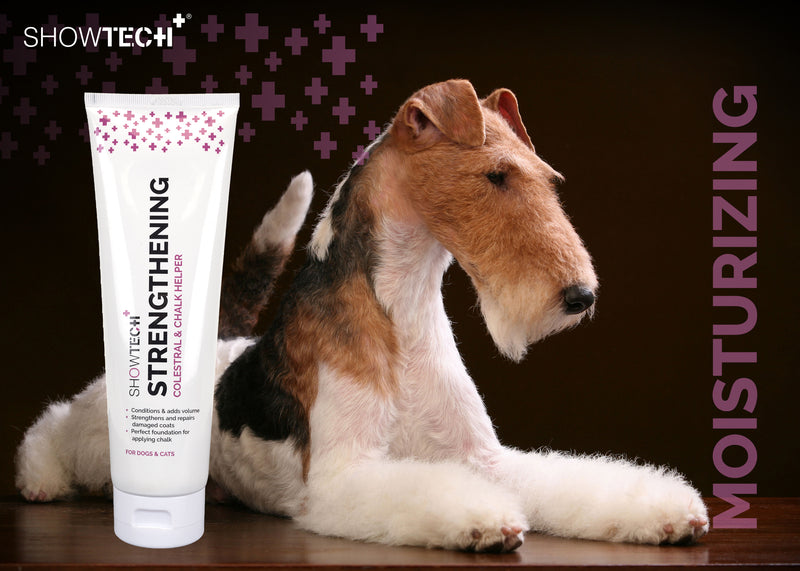 Show Tech+ Strenghtening