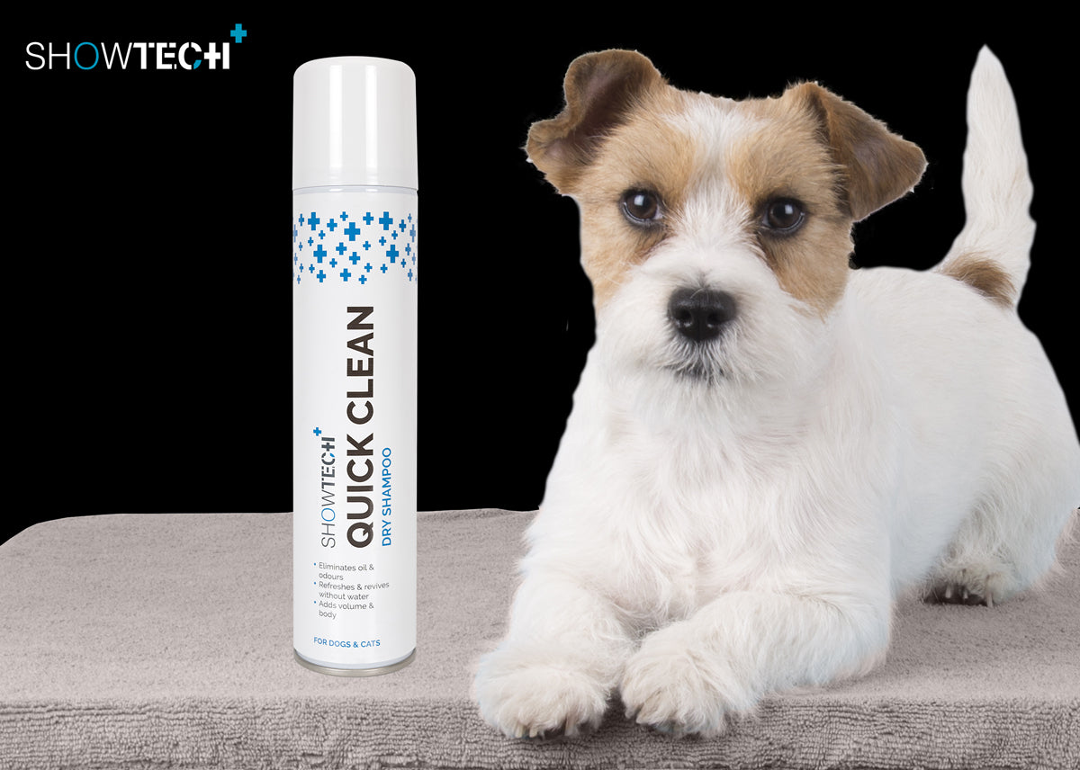 Show Tech+ Sampon Uscat Quick Clean 200ml