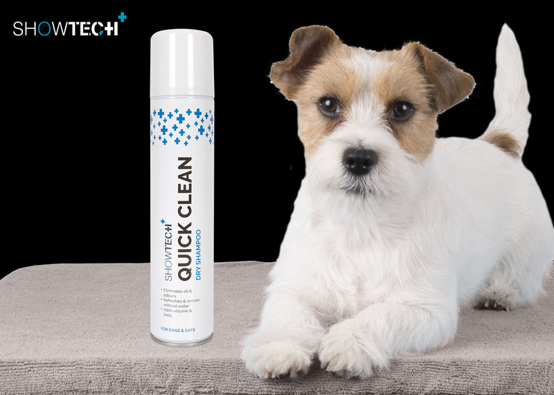 Show Tech+ Sampon Uscat Quick Clean 200ml