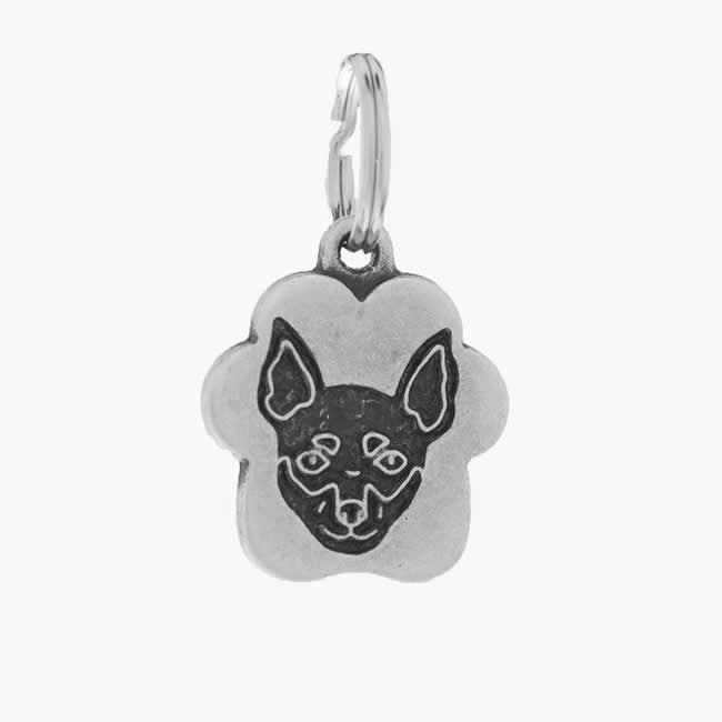 .Medalion Clouds Pinscher - PetGuru Pet Shop by Vetomed
 - 1