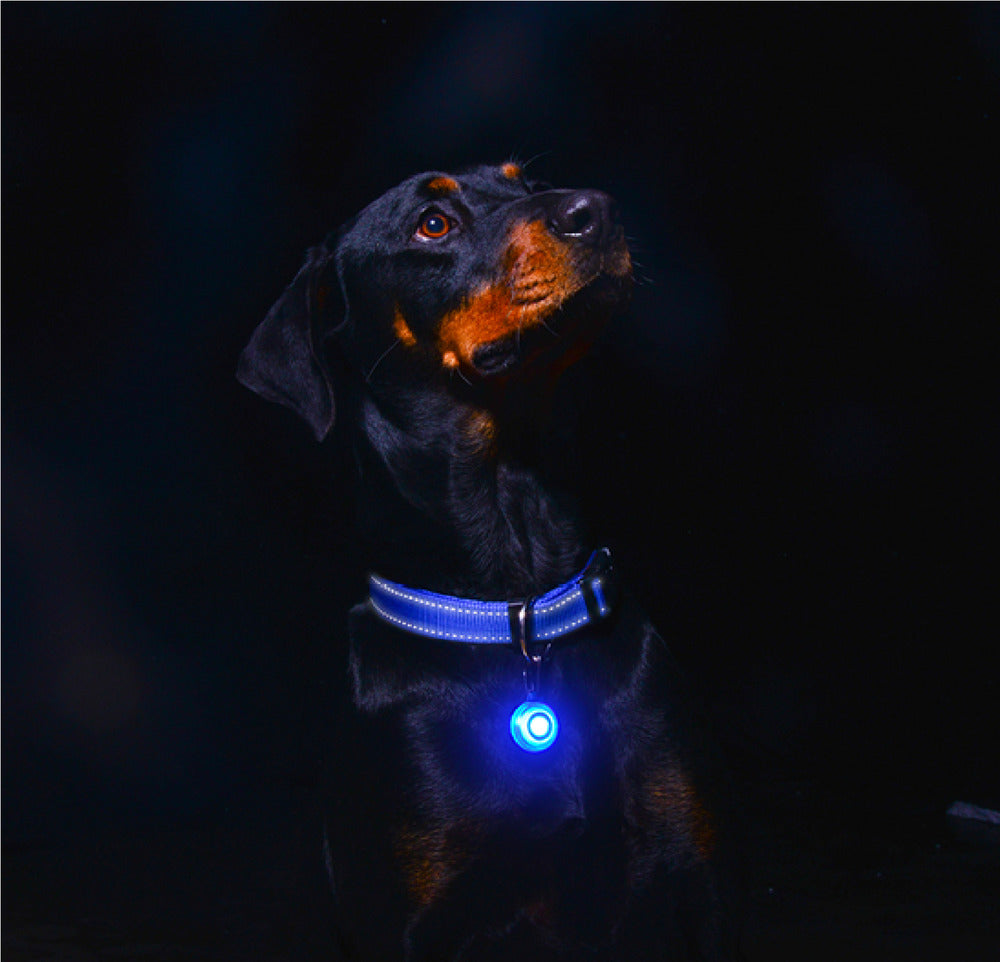 Dispozitiv lumions Rogz pentru atentionare