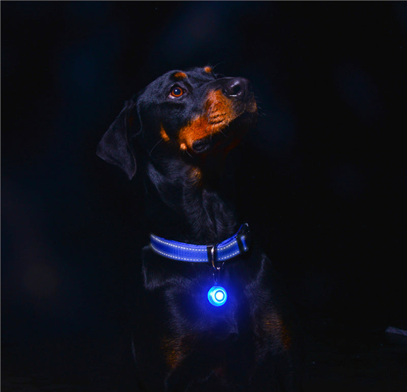 Dispozitiv lumions Rogz pentru atentionare