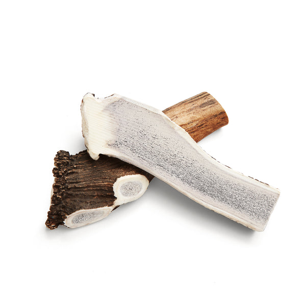 Corn de cerb rosu- recompensa naturala pentru ros USOR R-Line(o bucata)